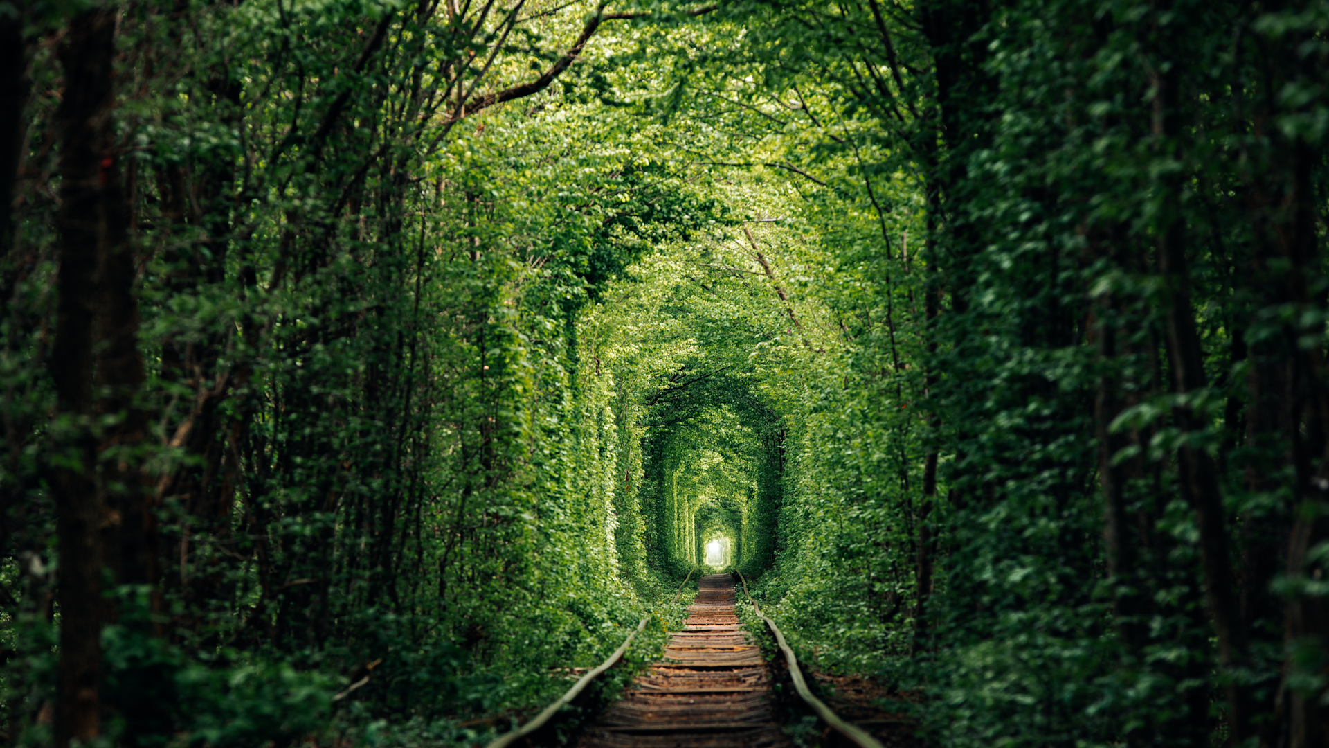 Avoir besoin d un thérapeute